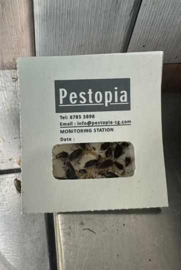 cockroach monitoring trap