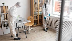Commercial Pest Control Singapore