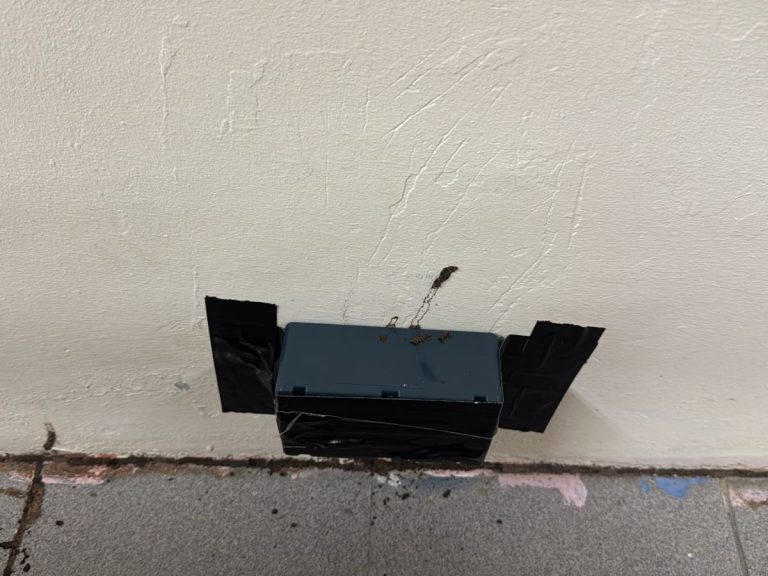 Termite Baiting & Eradication Service