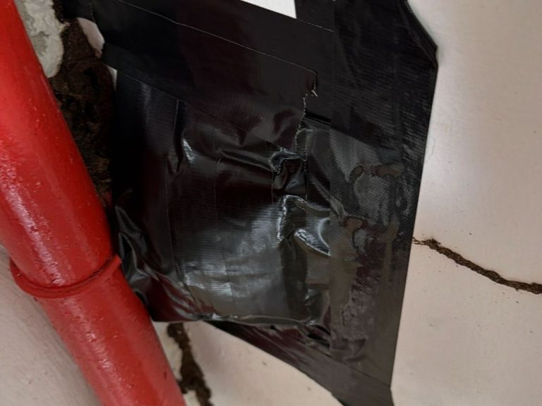 Termite Baiting & Eradication Service