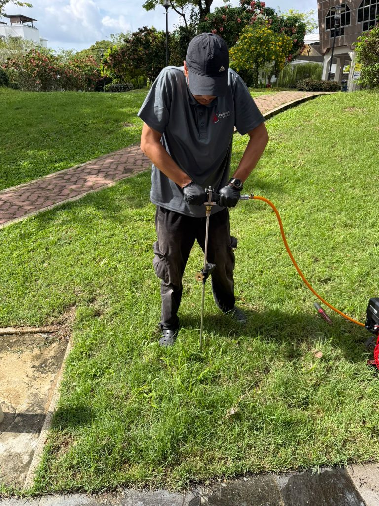 Soil Rodding Treatment
