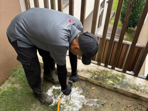 Pest Control for Construction Sites