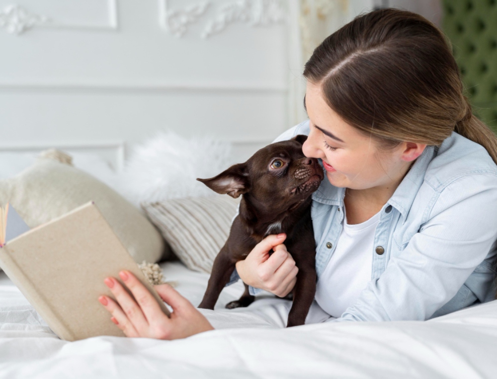 Dog and cat resting safely at home after pet-safe pest control treatment in a Singapore condo