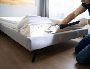 Technician arriving same-day with equipment for urgent bed bug and termite treatment in Singapore