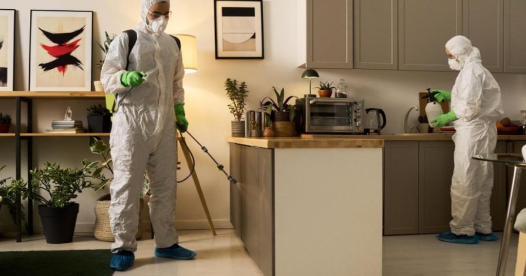 Pest control technician inspecting a refuse chute hopper in an HDB kitchen for rat control in Singapore